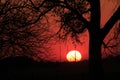 Kansas Sunset with the Sun and tree silhouettes with power lines in the country Royalty Free Stock Photo