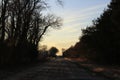 Kansas Sunset with tree rows on a country road with clouds out in the country