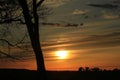 Kansas sunset with a tree silhouette and clouds that\'s bright and colorful