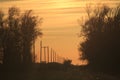 Kansas Sunset with trees and powerline poles on a country dirt road