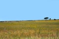 Kansas Trail Ride Across Prairie Royalty Free Stock Photo