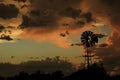 Kansas Windmill sunset with a tree silhouette and clouds that\'s bright and colorful