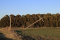 Kansas Windstorm damage with broken powerline poles in Hutchinson Kansas USA. Royalty Free Stock Photo