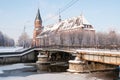 Kant's cathedral in Kaliningrad. Russia Royalty Free Stock Photo