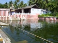 Kanyakumari, Tamil Nadu, India - October 8, 2008 A small green color pond near Nagaraja Temple Royalty Free Stock Photo