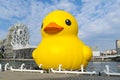 Iconic Giant Rubber Duck afloat in Kaohsiung\'s Love River Bay