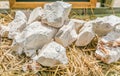 Kaolin, China clay or White Rock