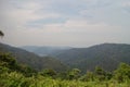 Kaoyai nationpark view Royalty Free Stock Photo