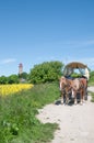 Kap Arkona,Ruegen Island,baltic Sea,Germany Royalty Free Stock Photo