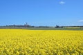 Kap Arkona,Ruegen Island,baltic Sea,Germany Royalty Free Stock Photo