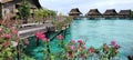 Kapalai Resort Sabah coral reefs beautiful arrays of bougainvillea