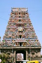 Kapaleeshwarar Temple Chennai Royalty Free Stock Photo