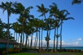 Kapalua, Maui, DT Fleming Beach, Hawaiian islands