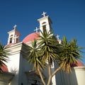 Kapernaum Palms and Crosses 2010 Royalty Free Stock Photo