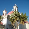 Kapernaum Palms and Crosses 2010 Royalty Free Stock Photo