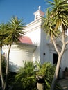 Kapernaum palms near Greek Orthodox Church 2010 Royalty Free Stock Photo