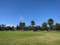 Kapiolani Park and tennis courts Royalty Free Stock Photo