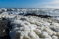 Kapiti Coast Foaming