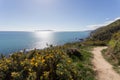 Kapiti Coast trail escarpment