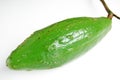 Kapok seed pod in white background