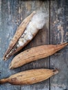 Kapok Seed Pods, Ceiba pentandra or white silk cotton