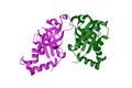 Kaposi's sarcoma-associated herpesvirus protease in complex with allosteric inhibitor. Ribbons diagram. 3d