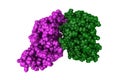 Kaposi's sarcoma-associated herpesvirus protease. Rendering with differently colored protein chains. 3d illustration