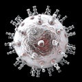 Kaposi's sarcoma virus