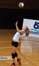Kaposvar - Miskolc volleyball game Royalty Free Stock Photo
