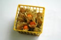 Fresh orange physalis or gooseberries Royalty Free Stock Photo