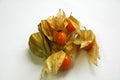 Fresh orange physalis or gooseberries Royalty Free Stock Photo