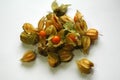 Fresh orange physalis or gooseberries Royalty Free Stock Photo