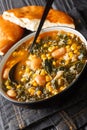 Kara lahana corbasÃÂ± Tarifi Turkish soup with kale close-up in a bowl. vertical Royalty Free Stock Photo