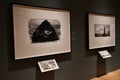 Kara Walker Harpers Pictorial History of the Civil War at New York Historical Society in Manhattan, New York City