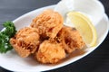 Karaage Japanese fried chicken