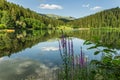 Karagol (Black Lake), Artvin Royalty Free Stock Photo