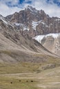 Karakoram mountain-specific landscape with yaks grazing on meadows between green mountain passes crossed by rivers and snow-capped