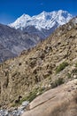 Karakoram mountain-specific landscape with yaks grazing on meadows between green mountain passes crossed by rivers and snow-capped