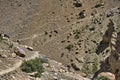 Karakoram mountain-specific landscape with yaks grazing on meadows between green mountain passes crossed by rivers and snow-capped