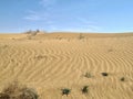 Karakum desert in spring. The landscape of the Central Asian desert Royalty Free Stock Photo