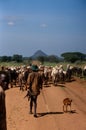 Karamojong cattle herders with guns, Uganda Royalty Free Stock Photo