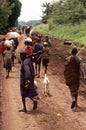 Karamojong villagers, Uganda Royalty Free Stock Photo