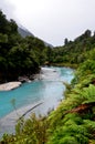 Karangarua River, Copland Track Royalty Free Stock Photo