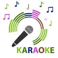 Karaoke microphone