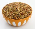 Karat seeds