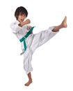 Karate Royalty Free Stock Photo