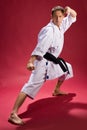 Karate Black Belt Royalty Free Stock Photo