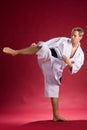 Karate black belt kicking Royalty Free Stock Photo