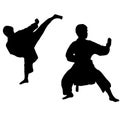 Karate boy. Sport Royalty Free Stock Photo