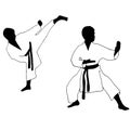 Karate boy. Sport Royalty Free Stock Photo